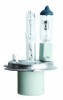 Wholesale xenon/halogen bulb