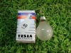 Wholesale incandescent bulb