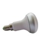 Wholesale LED Bulb R50