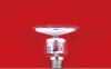 Wholesale INCANDESCENT LAMP R50