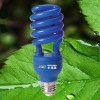 colorful plant growing bulb
