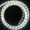 Wholesale led rope light