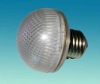 Wholesale Mushroom Bulbs