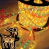 Wholesale led round 2 wire led rope light , christmas lighting , decorative lighting