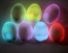 Wholesale Easter egg/led toy/led egg light