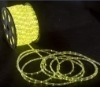 Wholesale rope light