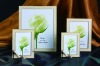 Wholesale Epoxy Photo Frames - Zinc Alloy Metal Frame