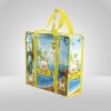 Wholesale pp woven bag with zipper