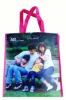 Wholesale 2011 PP Non Woven Bag For Promotion