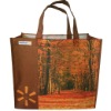 Wholesale 100% Recycled PET bag