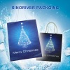Wholesale LED luminous paper bag