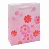 Wholesale PP handbag/plastic bag/shopping bag