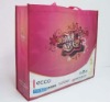 Wholesale 2011 new pp shopping Bag for promotion (ecofriendly)
