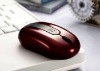Wholesale Noble Fashion Mini Mouse 2.4G Wireless Mouse