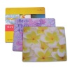 Wholesale customize 2011 global hottest sale pad mouse