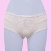 women's briefs underpants shorts