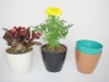 Plant fiber flower pot
