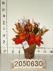 Wholesale Likely flower pot