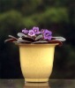 Wholesale Plant fiber flower pot