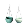 Wholesale China supplier chlorophytum Plastic hanging flower pot