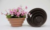 Wholesale biodegradable flower pot
