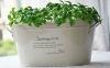 Wholesale flower pot,metal oval tub