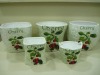 Wholesale Cherry decal(CMYK) for terracotta flower pots