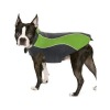 RC-29 Pet Safety Vest, Casual Reflective Jacket Green