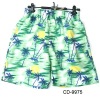 Wholesale fashion men's short