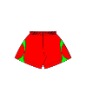 Wholesale Short, soccer short-001