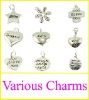 Wholesale 2011 Fashion various metal alloy charm