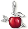 Wholesale Charm Dangle DGALNH004