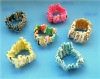 Wholesale natural sea shell bracelet