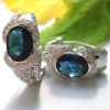 Wholesale fashion silver 925 jewelry earring E6716