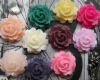Wholesale Best-selling-Assorted resin flower!! Charming jewelry resin!!