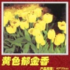 Wholesale Painting by Number Sets