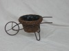 willow basket