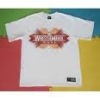 Wholesale 100% cotton women T-shirts