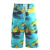Wholesale 2011 mens swimwear & beachwear