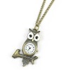 Wholesale Fashionable owl watch necklace NKE8029
