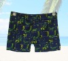 Wholesale Men swimwear swimsuit