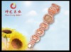 Wholesale bracelet watch