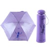 Promotional bottle Umbrella BT088