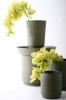 new designs