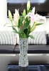 Wholesale fashionable plastic vase