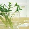 Wholesale transparent acrylic vase