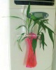 Wholesale disposable plastic vase