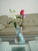 LC Fancy reusable Flower Vase