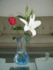 LC Fashion reusable Plastic bottles