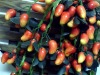 Cherry Cluster Realistic Decorative Fruit Vase Filler